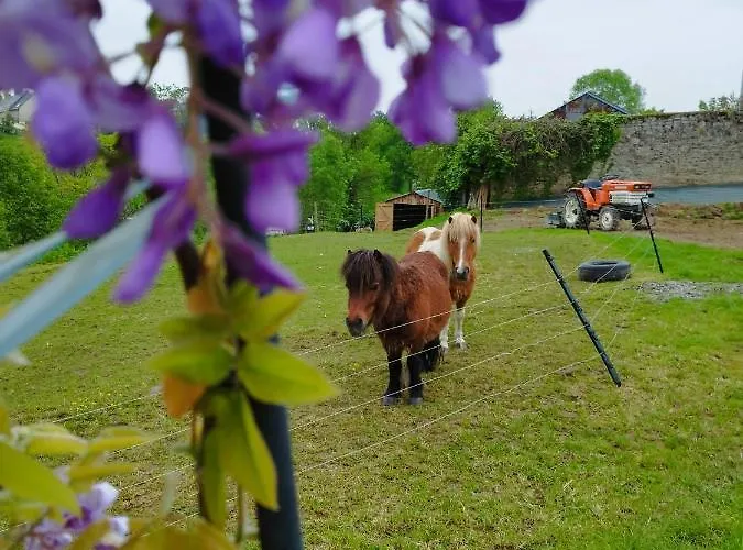 Le Domaine De Pivette 3* Avranches