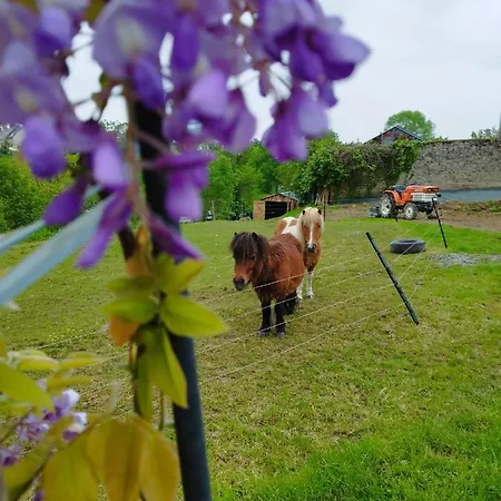 Le Domaine De Pivette * Avranches
